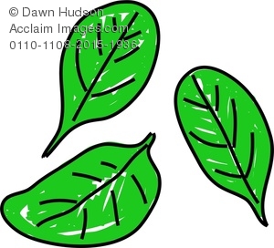 300x272 a whimsical drawing of spinach leaves clipart image - Spinach Drawing