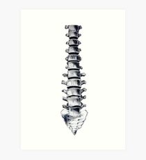 210x230 spinal cord drawing gifts merchandise redbubble - Spinal Cord Drawing