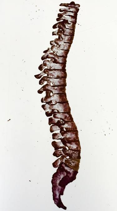 375x677 fingerprint spine drawing - Spine Drawing