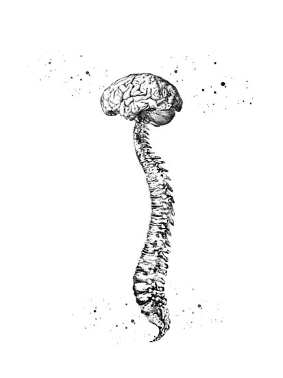 413x550 human spine with brain posters - Spine Drawing