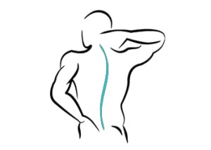 300x214 services and patient care milwaukie spine sport - Spine Drawing