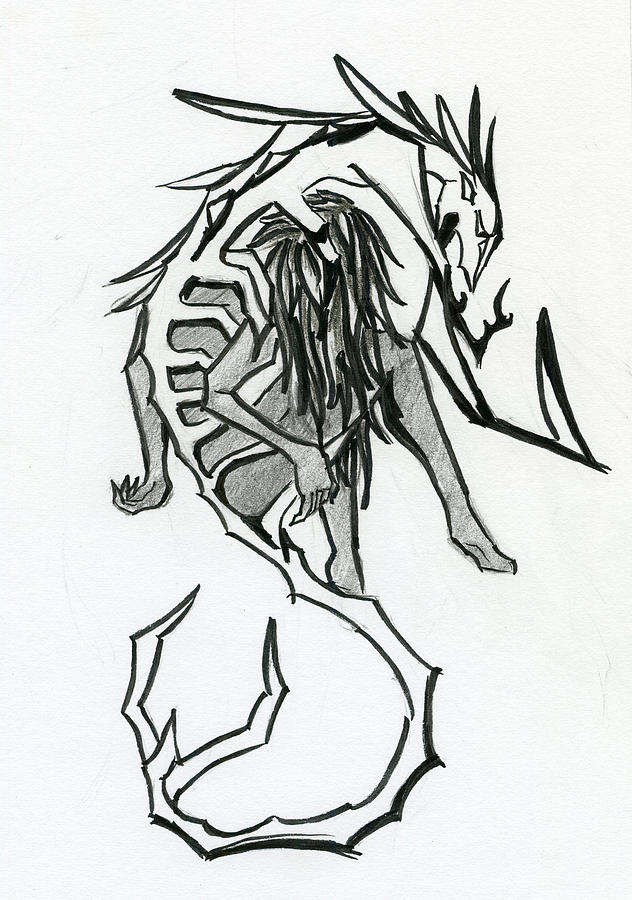 632x900 spine drawing - Spine Drawing