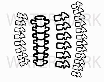 340x270 spine drawing etsy - Spine Drawing