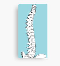 210x230 vertebrae spine drawing canvas prints redbubble - Spine Drawing