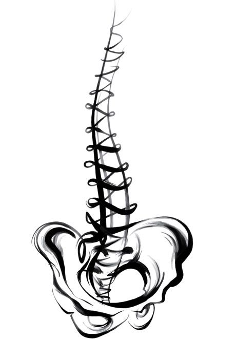458x660 spine drawing - Spine Drawing