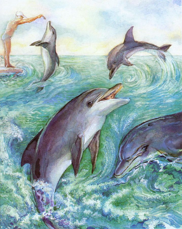 717x900 Dolphins Painting - Spinner Dolphin Drawing