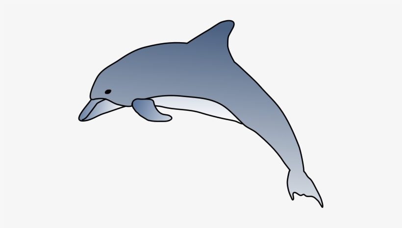 820x465 Drawn Dolphins Animation - Spinner Dolphin Drawing