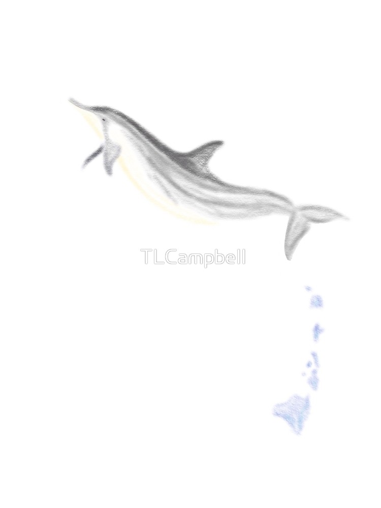 750x1000 hawaiian spinner dolphin splash - Spinner Dolphin Drawing