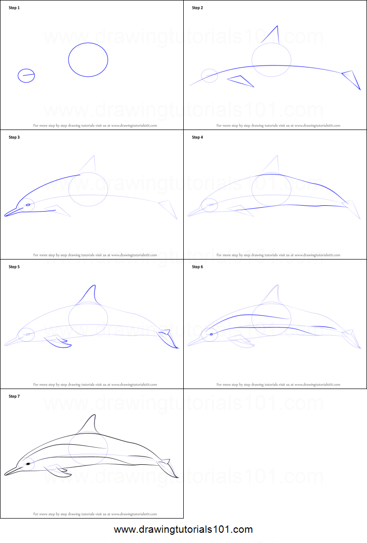 751x1111 how to draw a spinner dolphin printable step - Spinner Dolphin Drawing