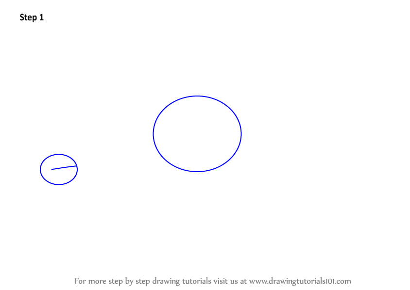 844x598 learn how to draw a spinner dolphin - Spinner Dolphin Drawing