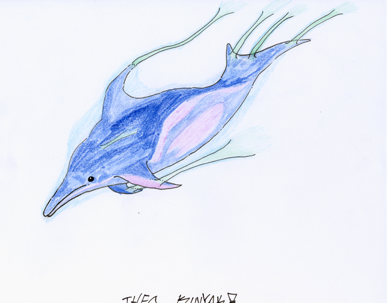 781x611 spinner dolphin - Spinner Dolphin Drawing