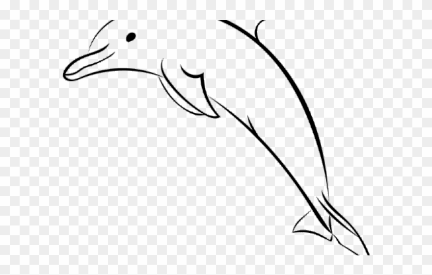 880x561 spinner dolphin clipart dolphin head - Spinner Dolphin Drawing