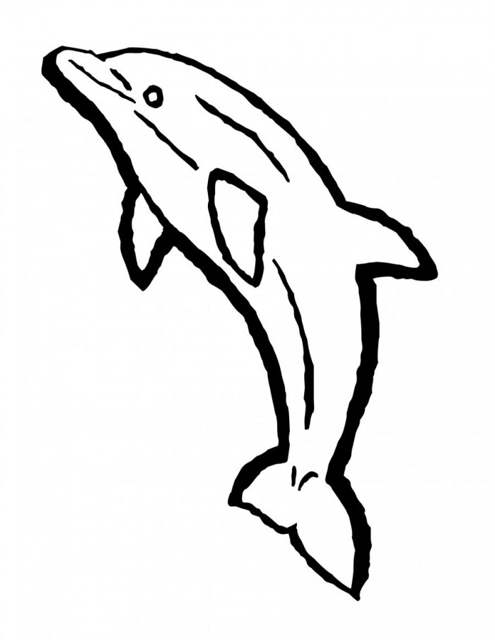 700x905 spinner dolphin cliparts free download clip art - Spinner Dolphin Drawing