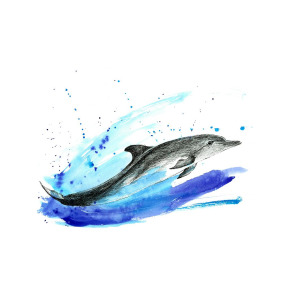 300x300 Bottlenose Dolphin Mixed Media - Spinner Dolphin Drawing