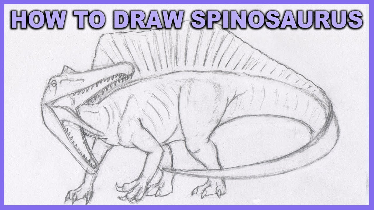 1280x720 How To Draw Spinosaurus Step - Spinosaurus Drawing