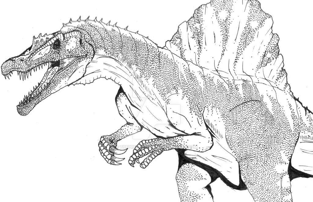 Spinosaurus Drawing at PaintingValley.com | Explore collection of ...