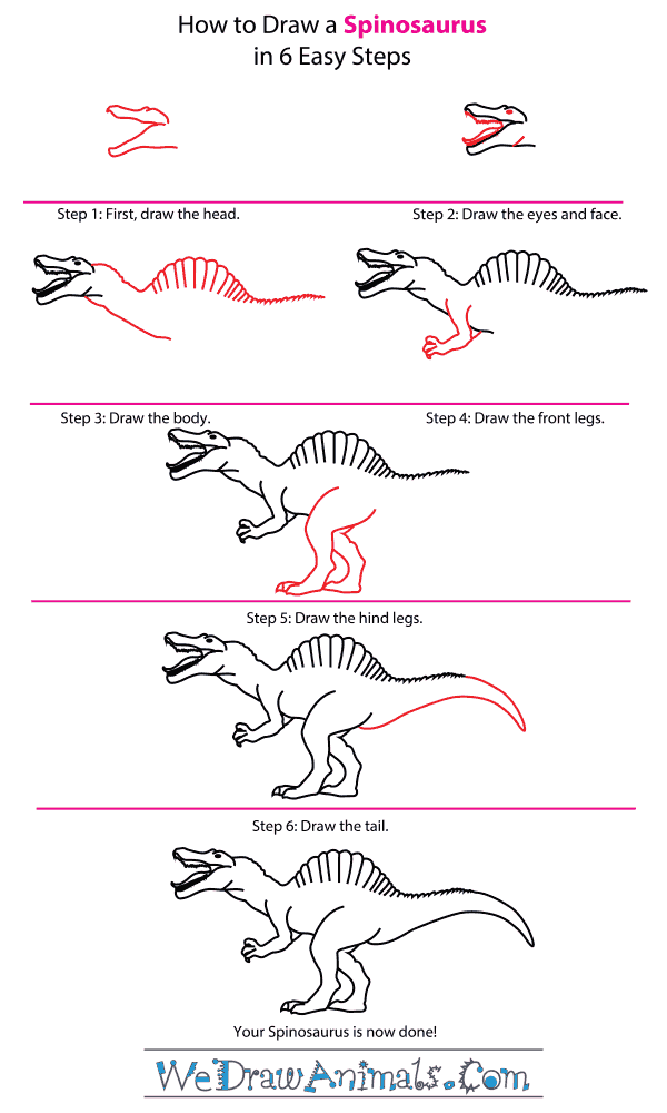 600x1000 How To Draw A Spinosaurus - Spinosaurus Drawing
