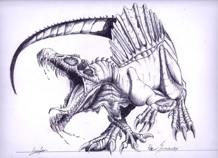 Spinosaurus Drawing at Explore collection of