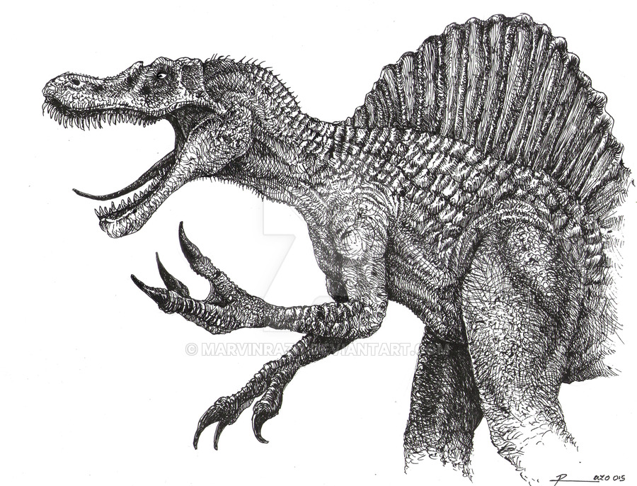 Spinosaurus Drawing at PaintingValley.com | Explore collection of ...