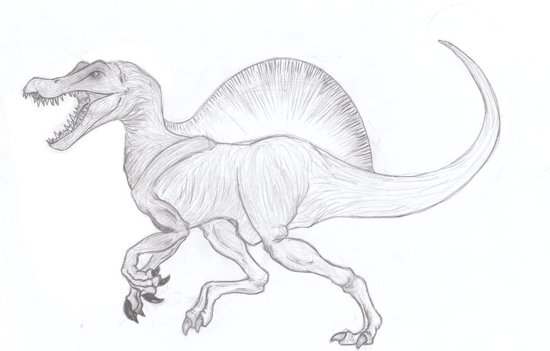 Spinosaurus Drawing at PaintingValley.com | Explore collection of ...