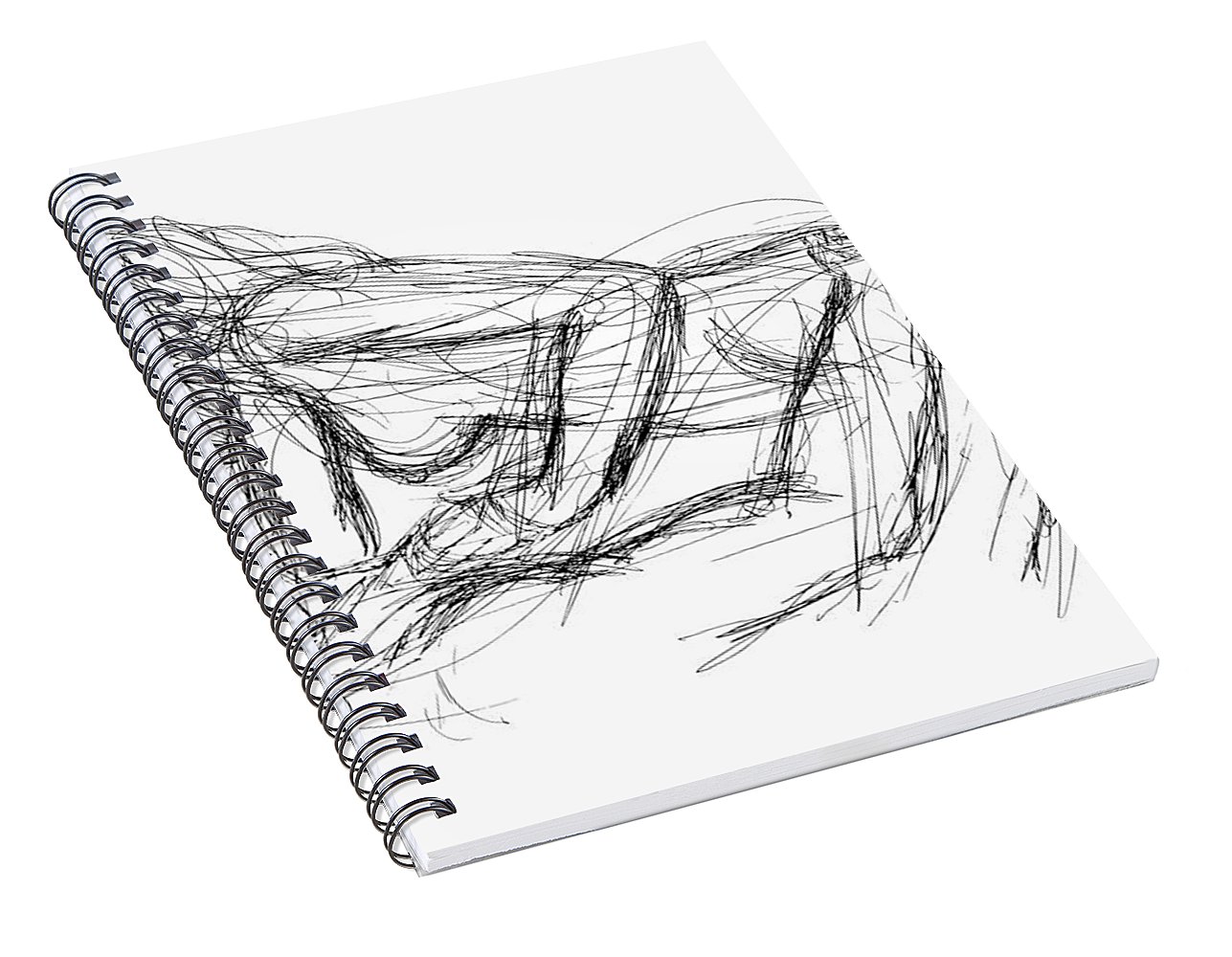 Spiral Notebook Drawing at Explore collection of