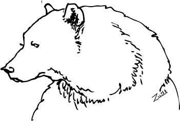 Spirit Bear Drawing at PaintingValley.com | Explore collection of ...