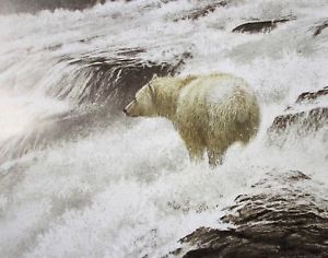 300x236 robert bateman art print drawing wolves spirit bear black - Spirit Bear Drawing