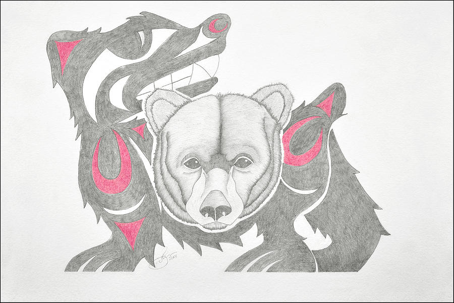900x600 spirit bear drawing - Spirit Bear Drawing