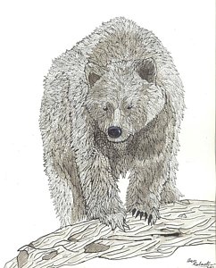 242x300 spirit bear drawings fine art america - Spirit Bear Drawing