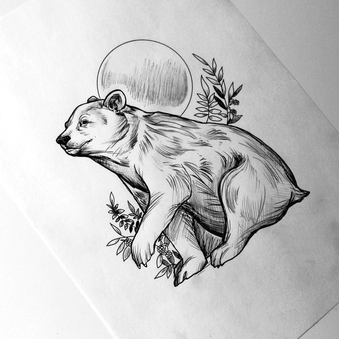 Spirit Bear Drawing at Explore collection of