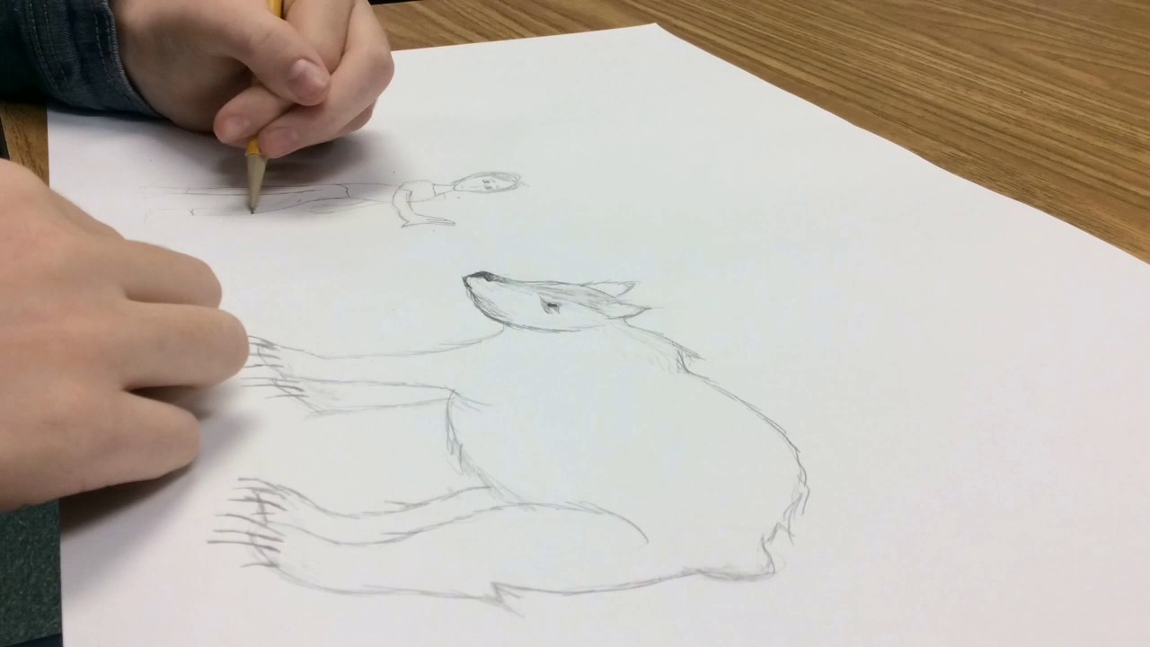 1280x720 touching spirit bear drawing - Spirit Bear Drawing