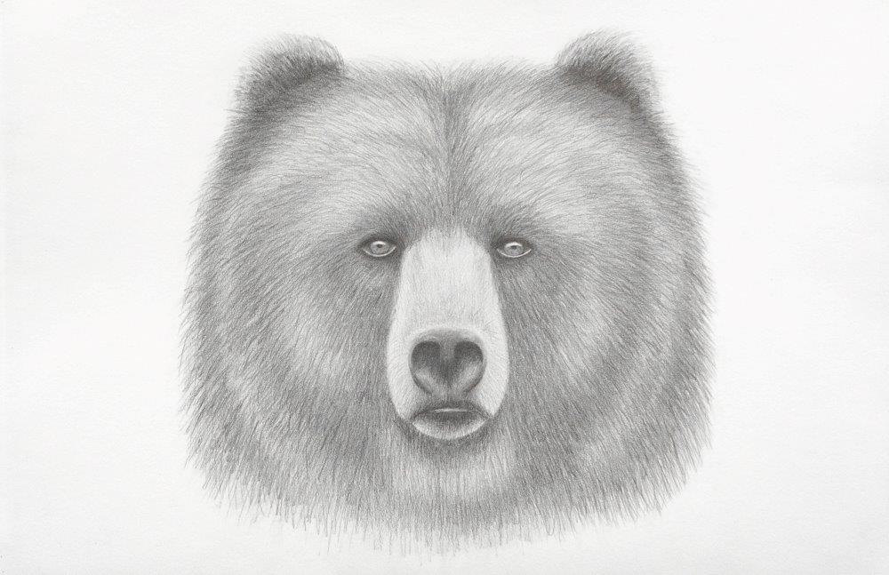 1000x647 bear spirit pencil drawing printart printpencil etsy - Spirit Bear Drawing