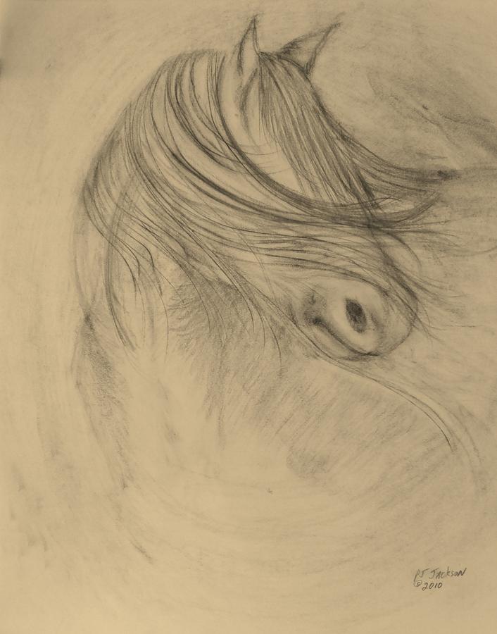 706x900 spirit horse drawing - Spirit Horse Drawing