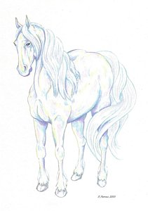 211x300 spirit horse drawings - Spirit Horse Drawing