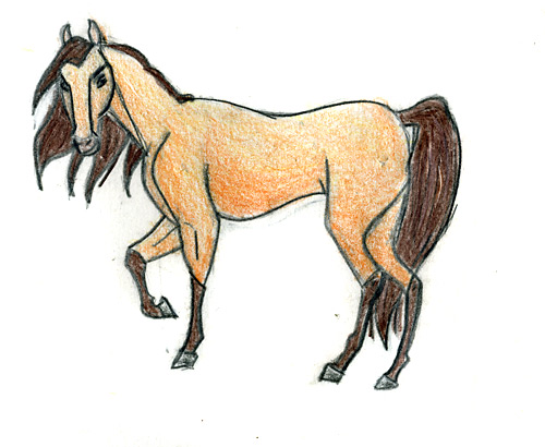 500x410 ellie's and rachel's art pages spirit - Spirit Horse Drawing