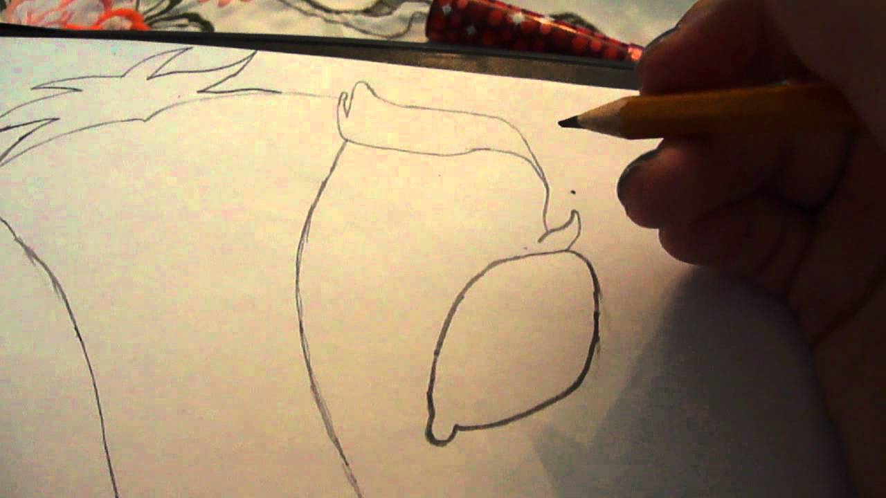 1280x720 Drawing Tutorial Baby Spirit Stallion Of The Cimarron Part - Spirit Stallion Of The Cimarron Drawings