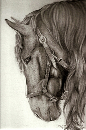 365x550 Portrait Of Spirit Stallion Of The Cimarron - Spirit Stallion Of The Cimarron Drawings