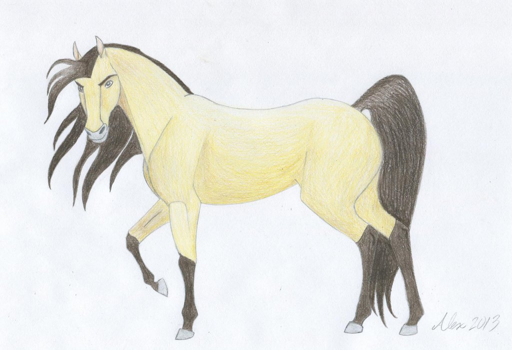 1024x700 Spirit Stallion Of The Cimarron Drawings - Spirit Stallion Of The Cimarron Drawings