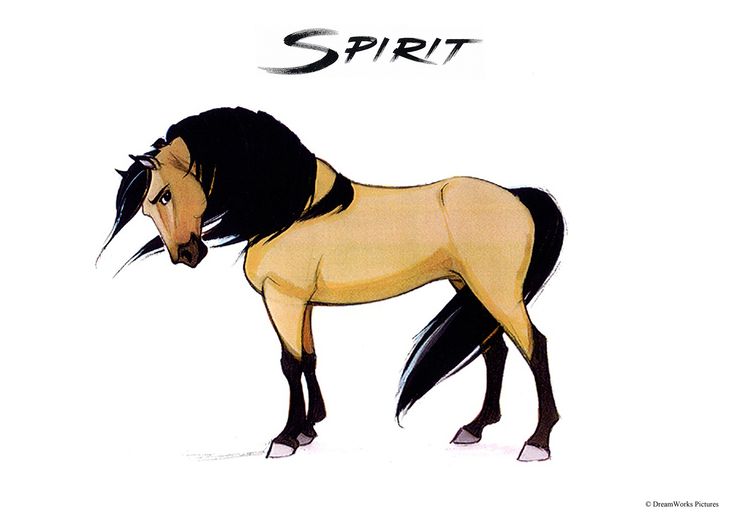 Spirit Stallion Of The Cimarron Drawings at