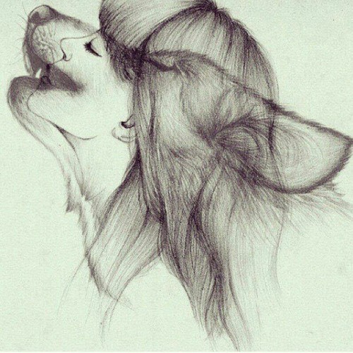 500x500 A Wolf Spirit Shared - Spirit Wolf Drawing