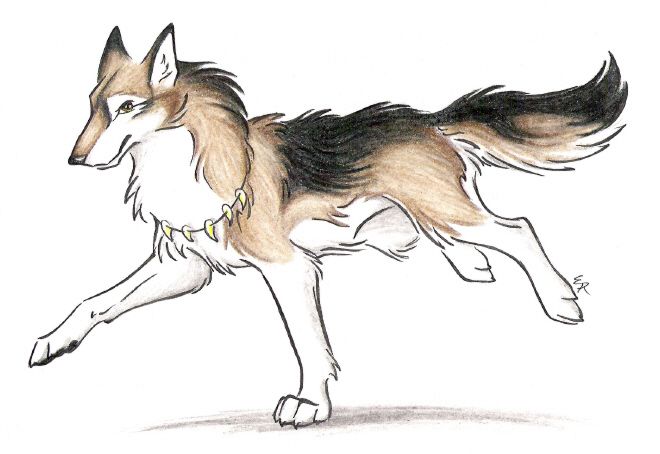 660x454 wild spirit wolf wild spirit wolf wolves - Spirit Wolf Drawing