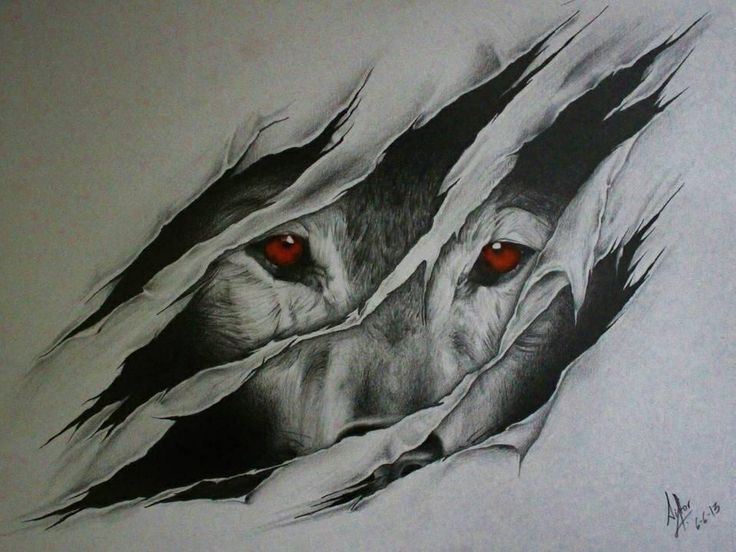 Spirit Wolf Drawing at Explore collection of