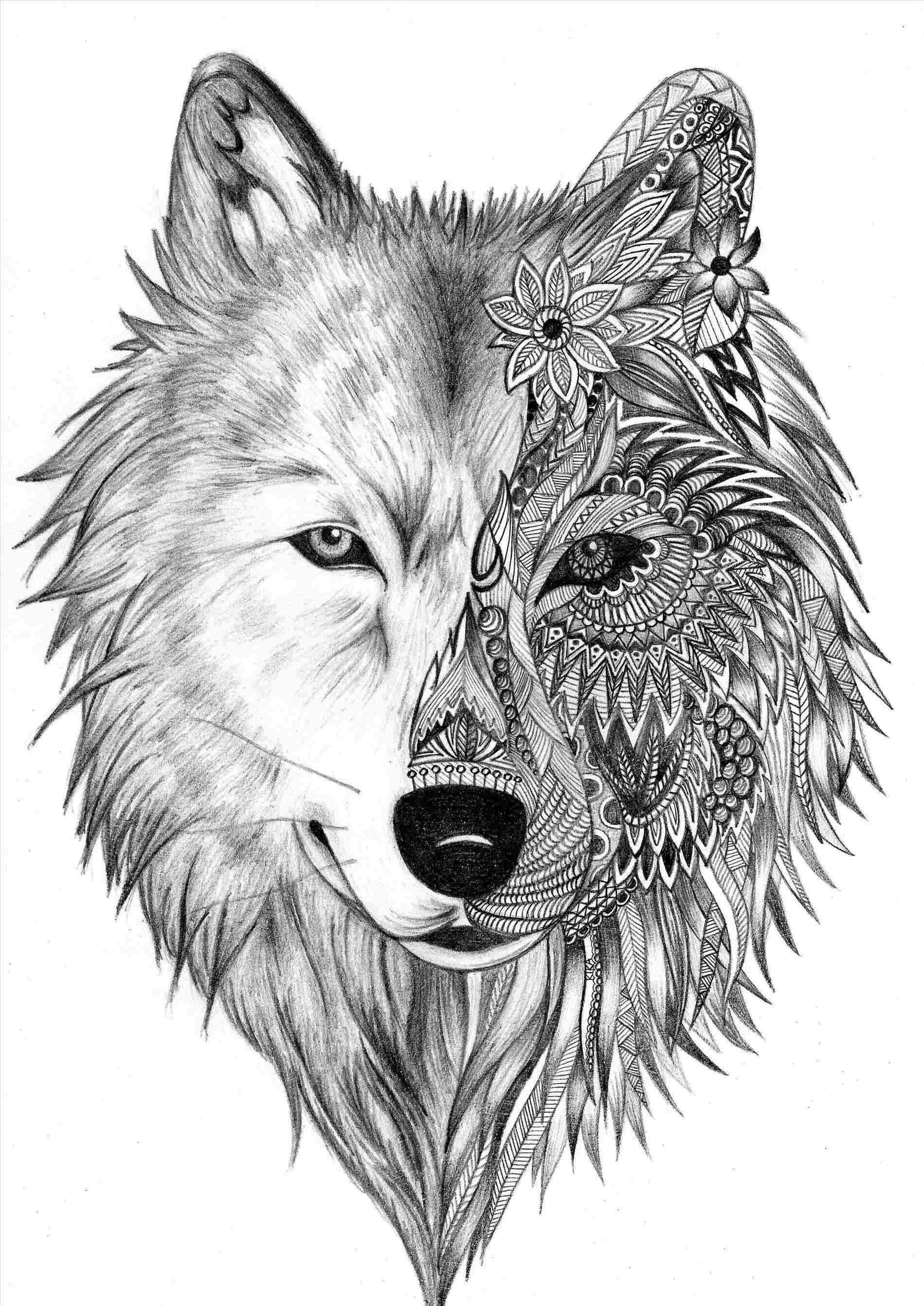 Spirit Wolf Drawing at PaintingValley.com | Explore collection of