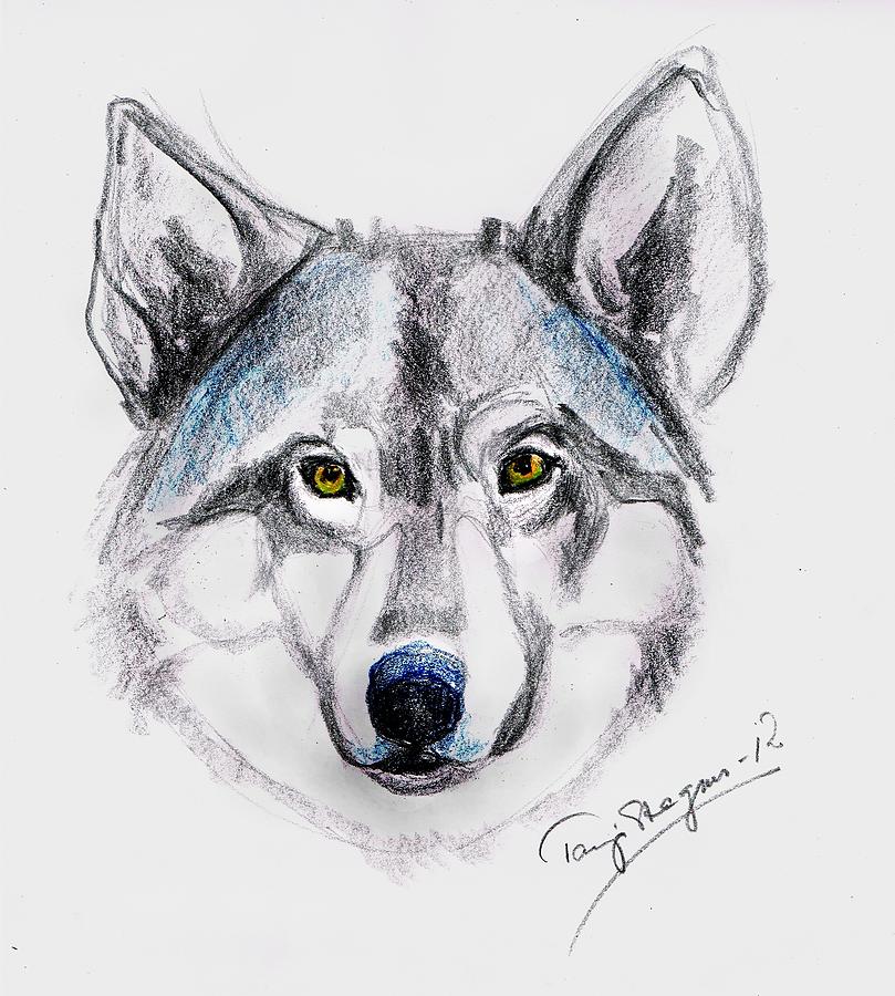 809x900 My Wolf Spirit Drawing - Spirit Wolf Drawing