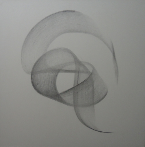 502x508 Spleen - Spleen Drawing