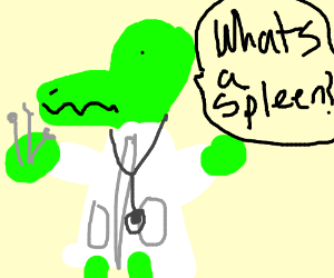300x250 the lizard surgeon removes the spleen drawing - Spleen Drawing