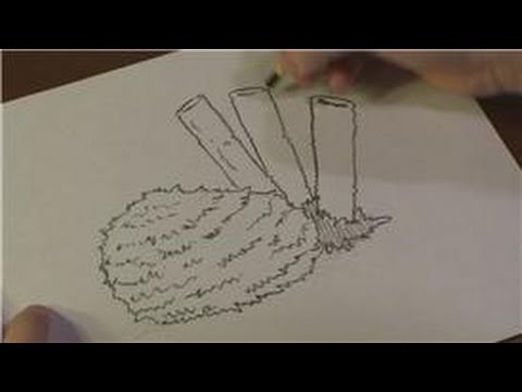 480x360 drawing lessons how to draw a sea sponge - Sponge Drawing