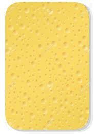 193x262 drawing spongebob on a sponge - Sponge Drawing