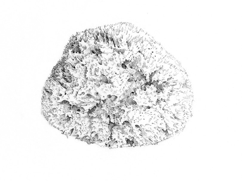 810x605 miles thistlewaite the royal drawing school - Sponge Drawing