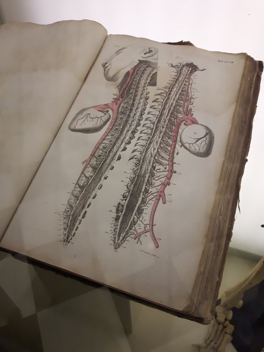 900x1200 Iwanplays On Twitter Spooky Boi, Spooky Tools, Spooky - Spooky Drawings